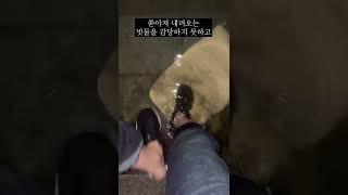 [앙찡일기] 폭우때문에 반지하 집이 침수되면 어떤 기분일까?