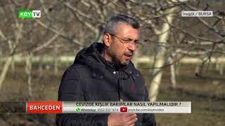 Cevizde Kış Bakımı Nasıl Yapılır?