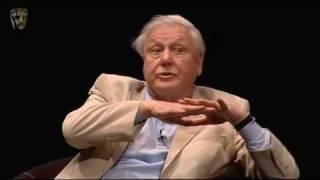 Sir David Attenborough | BAFTA: A Life in TV | Questions