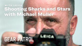 Photographer Michael Muller Shoots Sharks and People in the Same Light