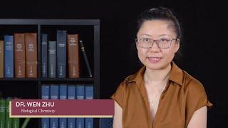 Dr. Wen Zhu, FSU Chemistry Faculty Interview