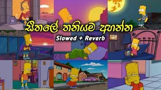 මනෝපාරකට සින්දු (slowed + reverb) | manoparakata sinhala songs collection | best new sinhala ‎‪songs