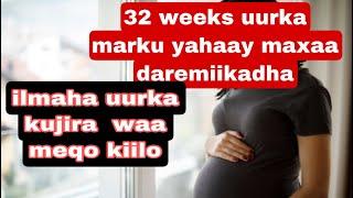 isbadaalka uurka 32 weeks maxaad daremaysa iyo ilmaha inte Le egyihiin