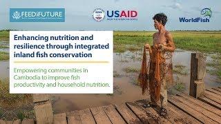 Enhancing nutrition and resilience through integrated inland fish conservation