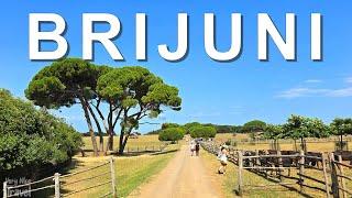 Brijuni (Brioni) National Park, Croatia | Top Attractions in Brijuni Islands