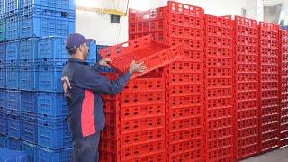 Process of Manufacturing Plastic Fruit Crates From Waste Plastic | Amazing Recycling Process