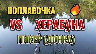 Херабуна VS Поплавочка VS Пикер. Рыболовный - батл. Ловля карася в Сентябре осенью.