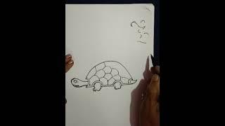 How to draw a Turtle easily for beginners and kids | Sudha's easy drawing class | Turtle drawing