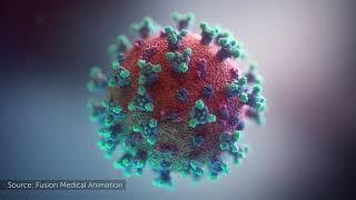 3D Animation Of COVID-19 (Coronavirus)