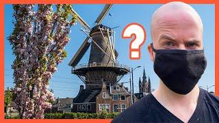 Why Live in The Netherlands?