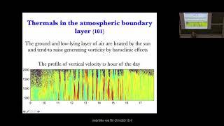 Massimo Vergassola (CNRS) - Reinforcement learning for animal behavior