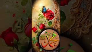 darood o salam #islamiq #beautful #trending #viral #youtube #shortvideos