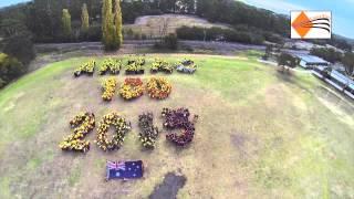 ANZAC Human Outline Diamond Creek East Primary School