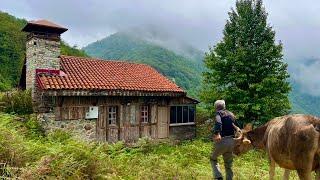 Life in an Isolated Cabin in the Northern Turkish Mountains During a Heavy Rainstorm