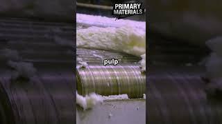 From Pulp to Paper: The Journey of a Sheet! #curiosity #paper