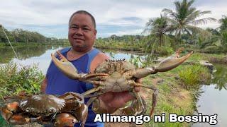 Nakahuli ng natutulog na Alimango + Inilipat ko ang Cabinet Rack sa kusina