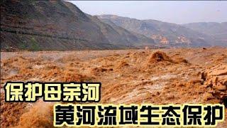 保护母亲河黄河流域生态保护