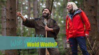 "Woid Woife": Interview mit dem "Wildtier-Flüsterer" im Bayerischen Wald | Wie geht's?