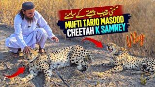 Mufti Tariq Masood Cheetah K Itney Kareeb - Africa jungle Vlog