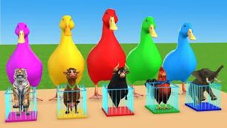 5 Giant Duck & Wild Animals Cage Game Cow Gorilla Rhinoceros Elephant Sheep Crossing Fountain