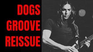 Dogs Groove Pink Floyd Style Jam Track Guitar Backing Track (D Minor)