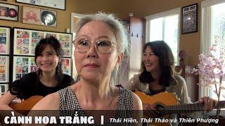 Cành Hoa Trắng (Unplugged) | Thái Hiền, Thái Thảo và Thiên Phượng