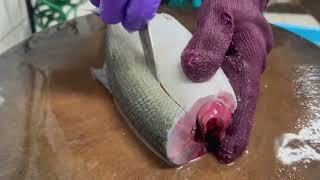 Amazing Cutting Skills in Taiwan ! Milkfish Cutting Skill