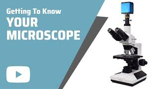 Getting To Know Your Microscope