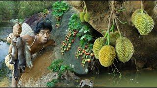 survival in the rainforest - mouse & durian fruit