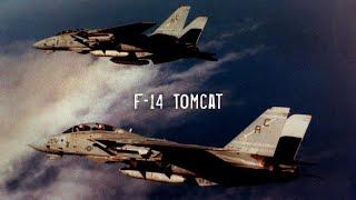 Grumman Aerospace - F-14 Tomcat in action