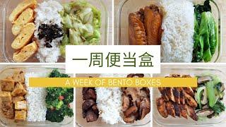 一周午餐便当食谱| One week of lunch boxes recipes