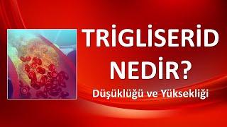 TRİGLİSERİD SEVİYESİNİN DÜŞÜKLÜĞÜ VE YÜKSEKLİĞİ