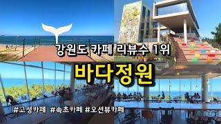 [카페추천] 강원도에서 가장 유명한 오션뷰카페 바다정원 / 속초카페 고성카페 /강원도 가볼만한곳 /