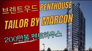 브엔트우드 Tailor, Penthouse