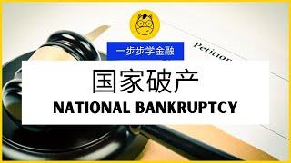 【一步步学金融】第十一课 || 国家竟然也会破产? 冰岛破产? National Bankruptcy