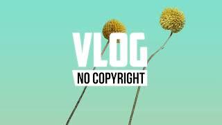 Novael - Coralys (Vlog No Copyright Music)