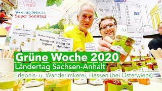 Grüne Woche 2020 - Erlebnis- und Wanderimkerei - Sachsen-Anhalt