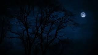 Tree Tops Blowing on a Windy Night Under The Moonlight for Sleep,  Insomnia, Tinnitus