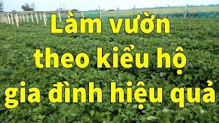 Thăm quan mô hình trồng trọt kết hợp chăn nuôi theo kiểu hộ gia đình cho hiệu quả kinh tế