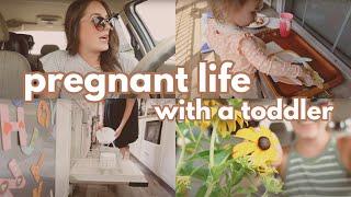 The chaos of being PREGNANT with a Toddler  VLOG