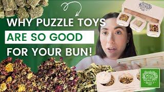 Why Your Bun Needs These Mentally Stimulating PUZZLE Toys