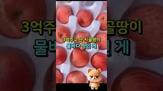 3억주고 산 시골땅에  빗물이 고이는 이유가 충격#사는이야기 #삶의지혜 #오디오북 #노년의#라디오사연 #사연 #네이트판썰#노년의지혜#노년의품격