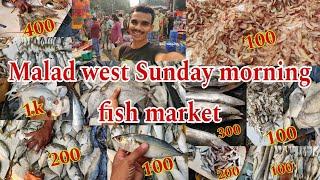 Malad west Sunday morning fish market | malad market open on sunday | malad market in mumbai | fish