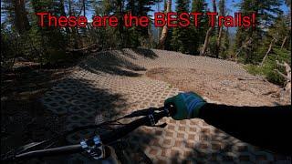 Mammoth Bike Park Guide! All the best Trails!