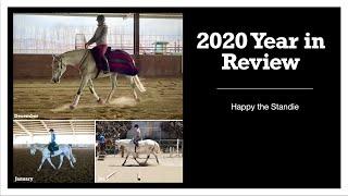 2020 Year in Review | Happy the Standie