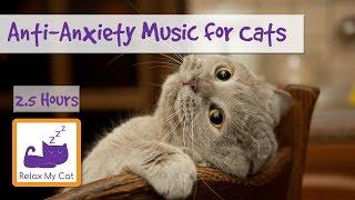 Anti-Anxiety Music for Cats and Kittens! Soothe your Cat with our Relaxation Music!  #ANXIETY05