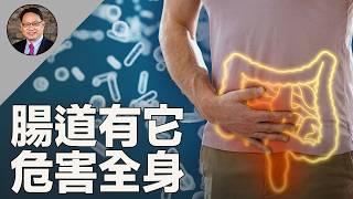 腸道「隱形廢物」危害胃腸、腎臟，甚至大脑！這樣吃，可逆轉。 ｜四維健康