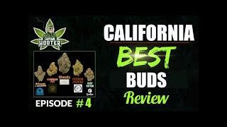 CALIFORNIA Best Buds Review #4 (Bud Report by Captain Hooter)