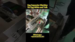 Efficient and Automatic Egg Separator Machine for Egg White and Egg Yolk