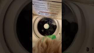 Laundry day?!? #heather #youtubeshorts #shorts #pets  #pet #animals #cute #funny #puppy